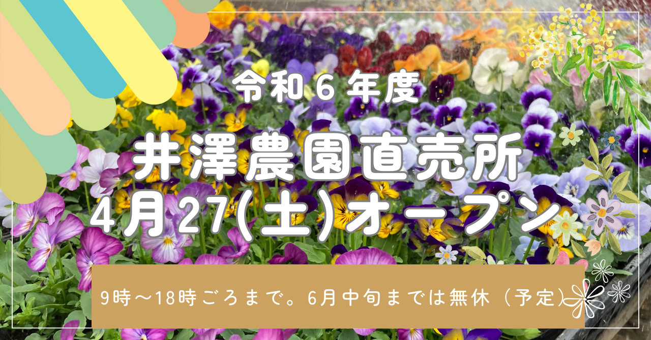 izawa_20240427.png